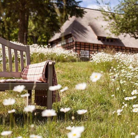 Park Am See X Nattika Ayurveda, Hotel Health Spirit Penzlin المظهر الخارجي الصورة