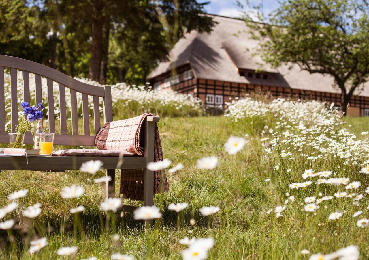 Park Am See X Nattika Ayurveda, Hotel Health Spirit Penzlin المظهر الخارجي الصورة