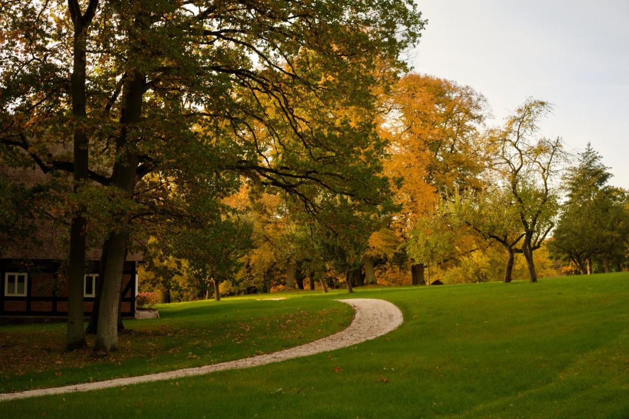 Park Am See X Nattika Ayurveda, Hotel Health Spirit Penzlin المظهر الخارجي الصورة