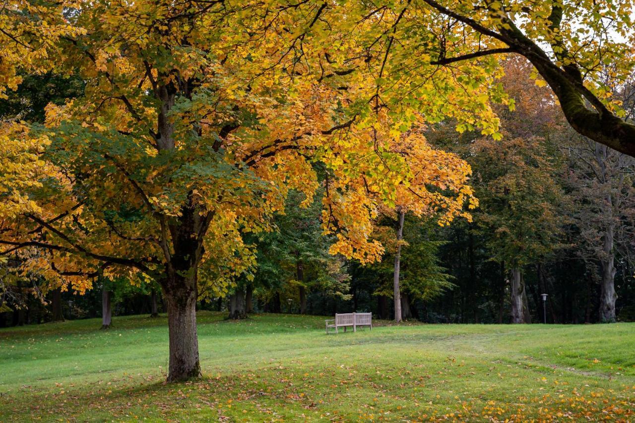 Park Am See X Nattika Ayurveda, Hotel Health Spirit Penzlin المظهر الخارجي الصورة